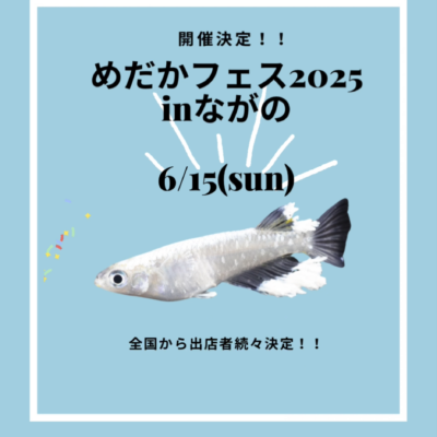 【メダカ日記】5日目、めだかふぇすin長野（6/15）