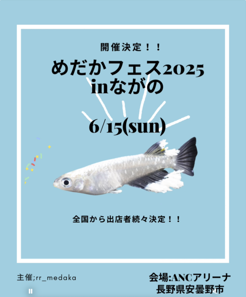 めだかフェス in 長野