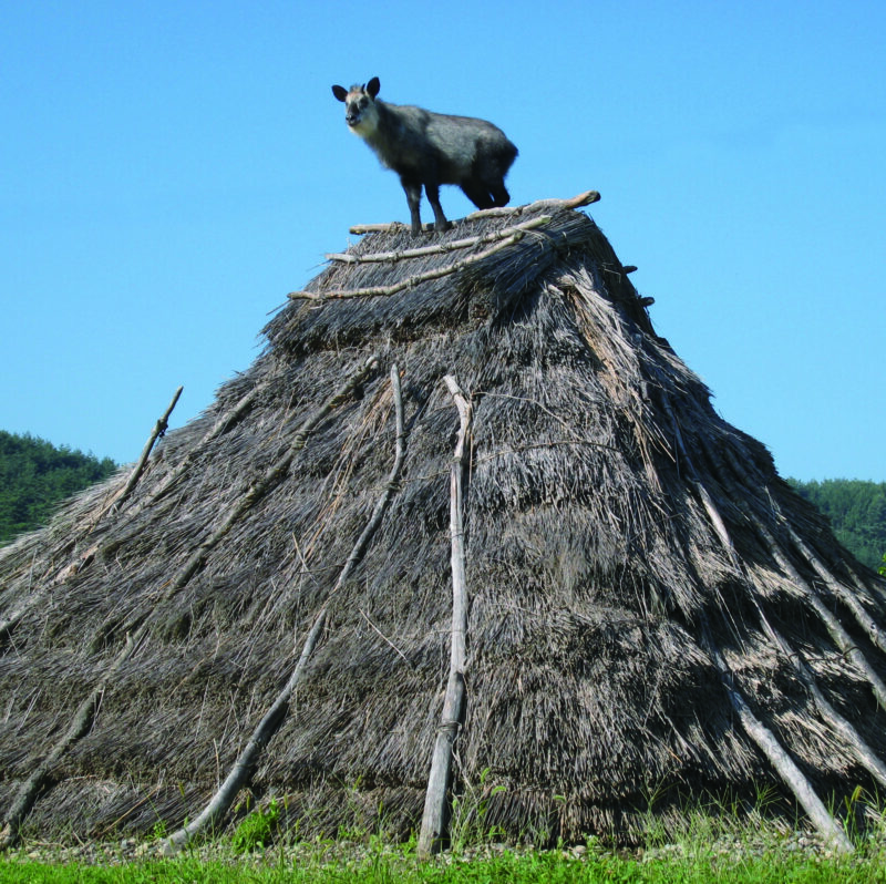 遺跡の中で、古代探検へ出発！ 平出遺跡公園の遊び方。【親子で体験】