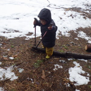 ハイジの森・森カフェ