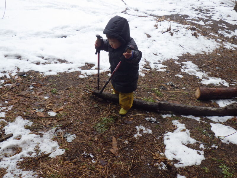 ハイジの森・森カフェ