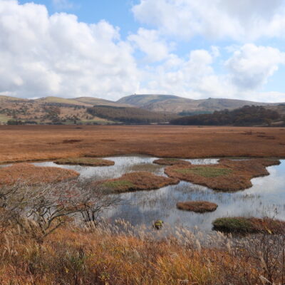 【子どもとお山歩12ヵ月】草紅葉とススキを眺めに。〜vol.7 八島湿原〜
