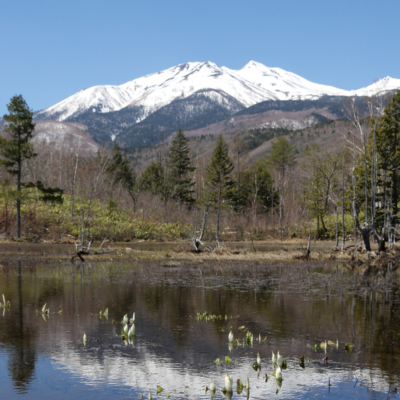 【子どもとお山歩12ヵ月】季節の花を探しに。〜vol.2 乗鞍高原 一の瀬園地〜