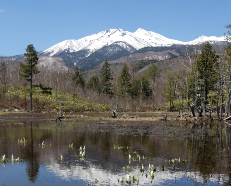 【子どもとお山歩12ヵ月】季節の花を探しに。〜vol.2 乗鞍高原 一の瀬園地〜