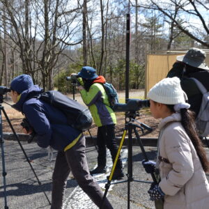 野鳥観察会（さえずり編）