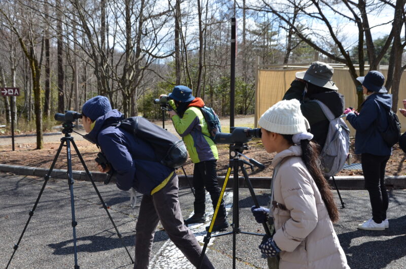 野鳥観察会（さえずり編）