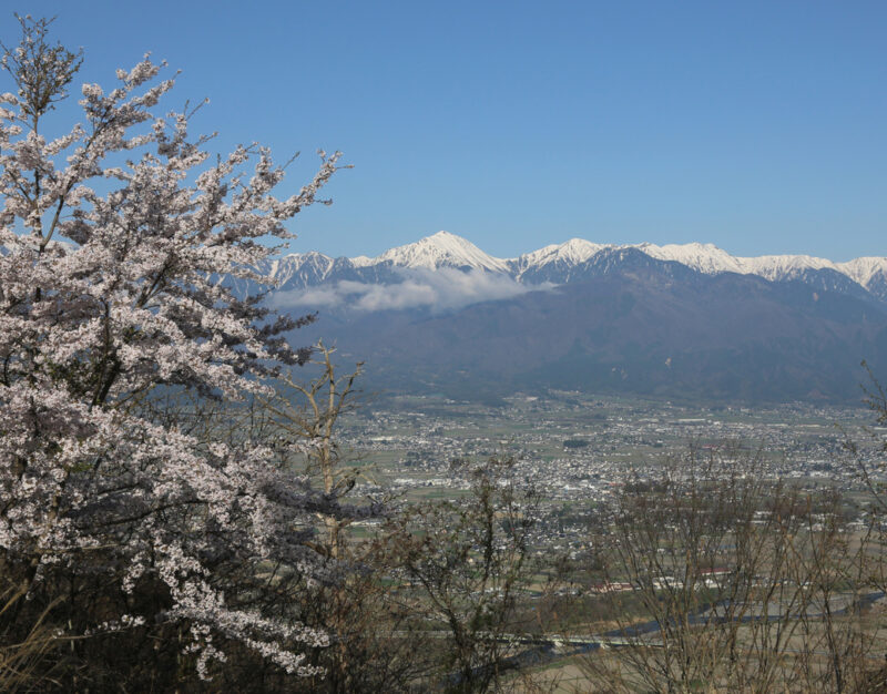 【子どもとお山歩12ヵ月】 春を探しに。〜vol.12 光城山〜