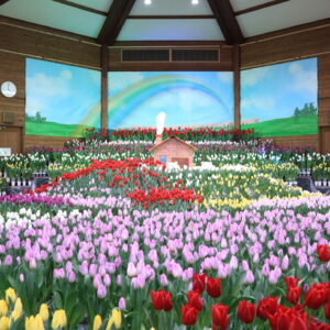 インドアガーデンアイスチューリップの庭