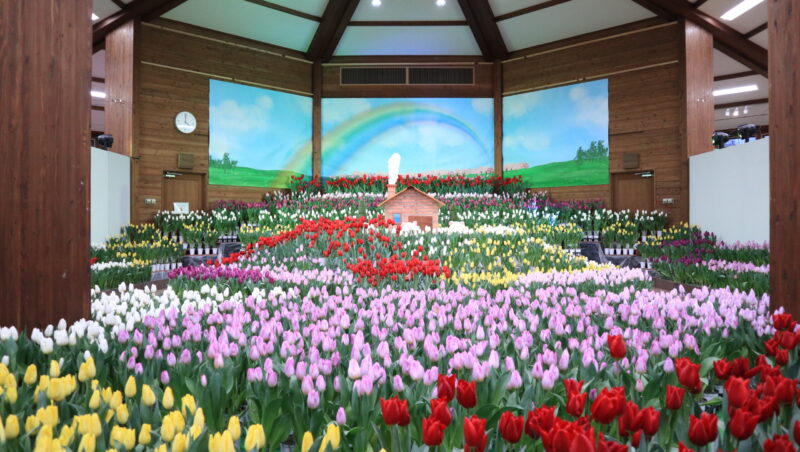 インドアガーデンアイスチューリップの庭