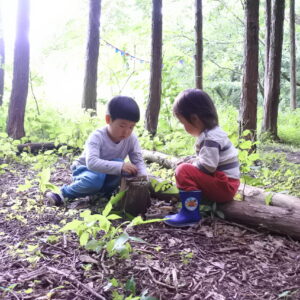 ハイジの森森カフェ