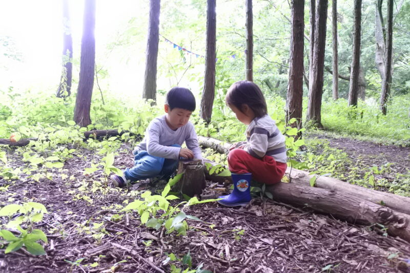 ハイジの森森カフェ
