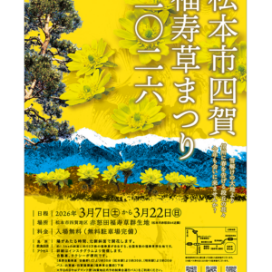 松本市四賀 福寿草まつり2026