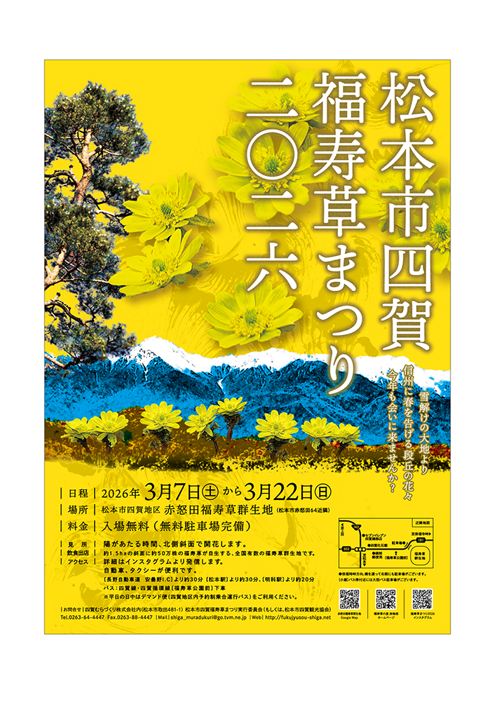 松本市四賀 福寿草まつり2026