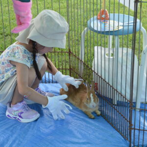 ふれあい動物園