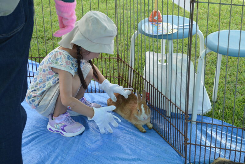 ふれあい動物園