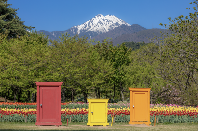 「SPRING FESTA 2026　チューリップ・ナノハナまつり」