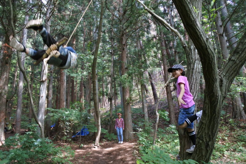 ハイジの森・森カフェ