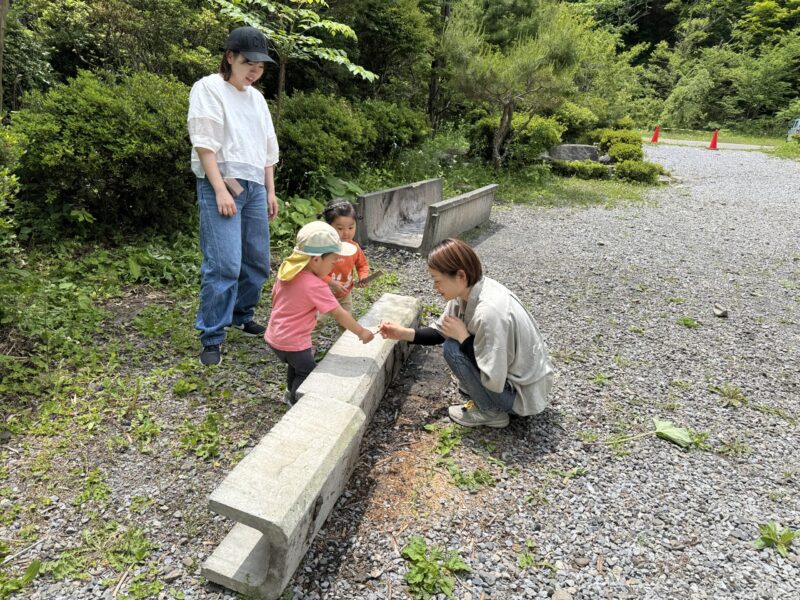 里カフェぽっかぽか